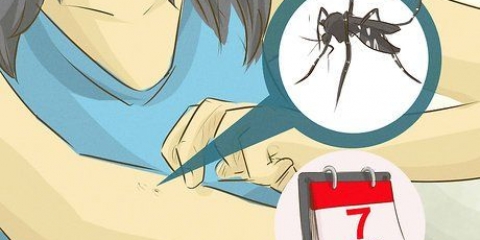 Omgee vir iemand met dengue