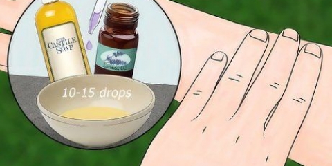 Insekte verjagen met lavendel