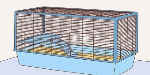 Je cavia help jou lang lewe
