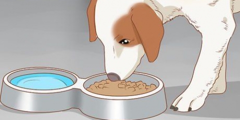 Je hond behandel