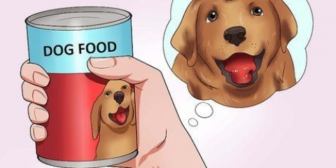 Jy hond 'n pil laat slikken