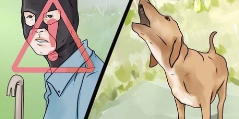 Je hond laat stop met blaffen teen onbekende persone