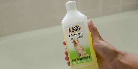 Je hond lekkerder laat ruiken
