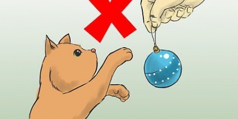 Je kerstboom teen katten beskerm