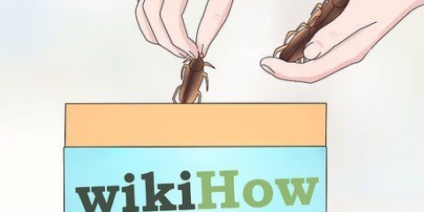 Bak jou ma 'n kwas