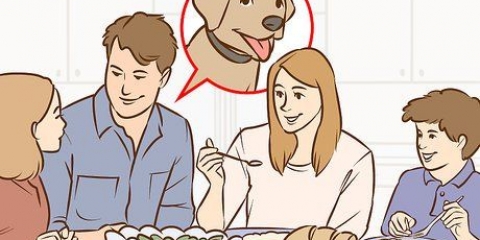 Om jou ouers te oortuig om 'n hond te kry