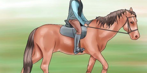 Je paard 'n handgalop leer