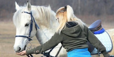 Je paard jou laat vertroue