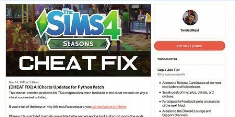 Om jou sims te trou deur cheats te gebruik