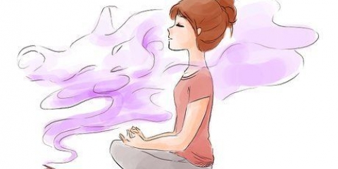 Je spirituele dier vind