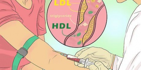 Bereken jou totale cholesterol