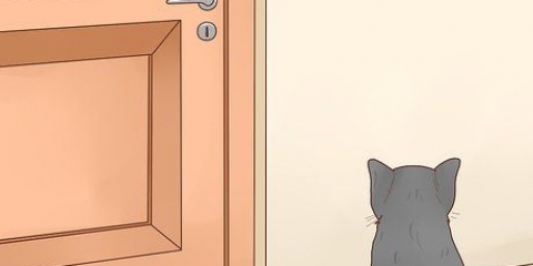 Katten uit 'n kamer hou