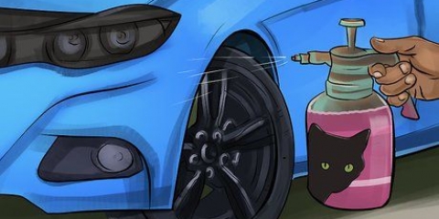 Katten weghouden van je auto