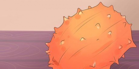 Kiwano eten