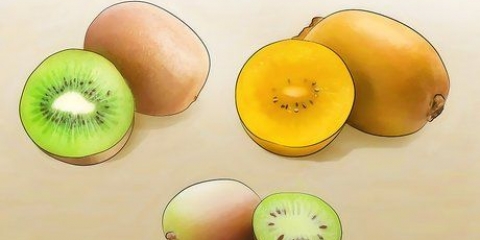 Kweek kiwi's