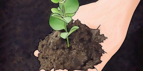 Verbetering van kleigrond