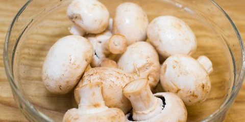 Koken met paddenstoelen