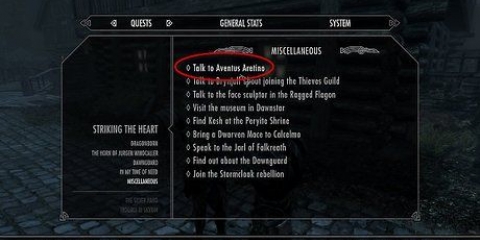 Sluit aan by die donker broederskap in skyrim