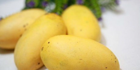 Mango's pasop