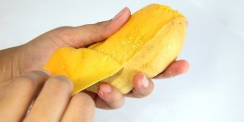 Mangosap maak