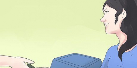 Mini lop konijnen versorgen