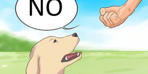 Nee sê teen jou hond