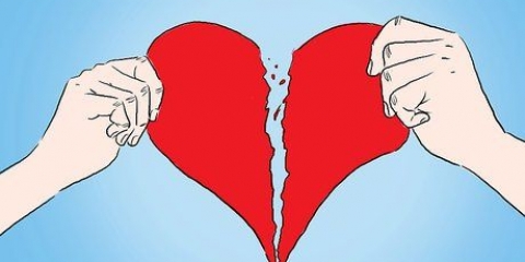 Nie meer verlief nie