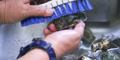 Oesters berei
