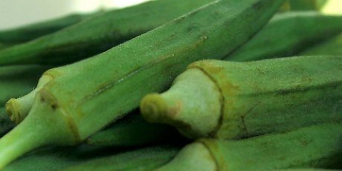 Okra ingeskryf