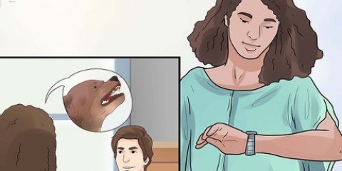 Omgaan met die blaffende hond van die buren