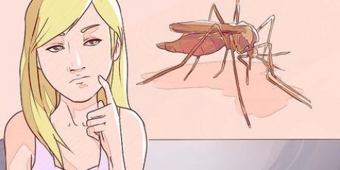 Onderskei tussen malaria, dengue en chikungunya