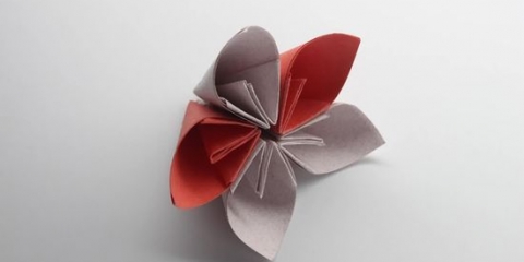 Vou origami
