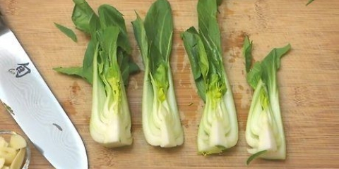 Paksoi berei