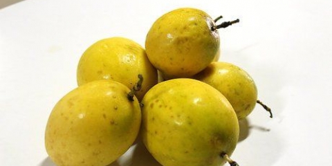 Passievrugensap maak