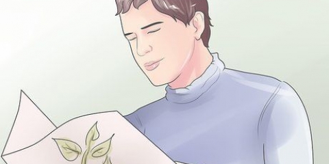 Ent plante
