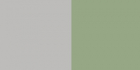 Voeg plugins by google chrome