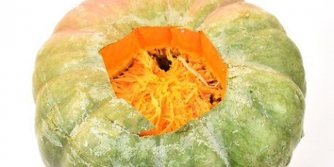 Pompoenpitjes roosteren