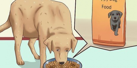 Puppy se spenen