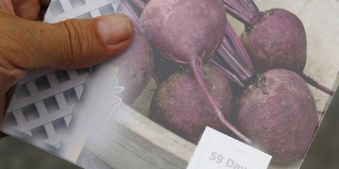 Groeiende beet