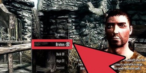 Gaan vinnig op in skyrim