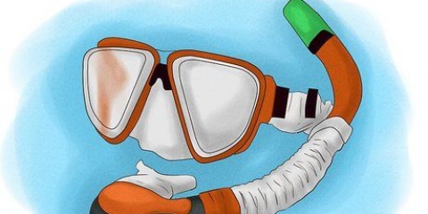 Snorkel