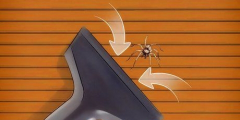 Spinne verwyder as jy 'n spinnefobie het