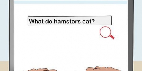 Toestemming kry van je ouders om 'n hamster te hou