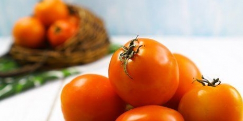 Tomatensap maak