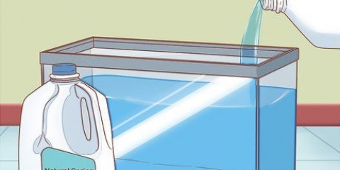 Triops versorgen