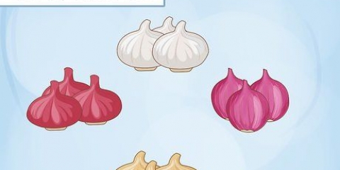 Uien kweken