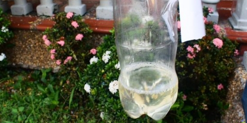 Maak drupbesproeiing uit 'n plastiekbottel