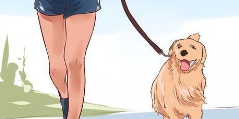 Van je hond hou