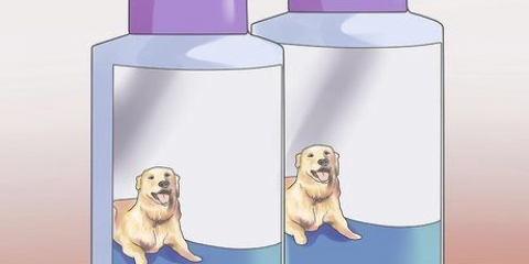 Van vlooien afkom by puppy's wat te jong is vir normale middelen