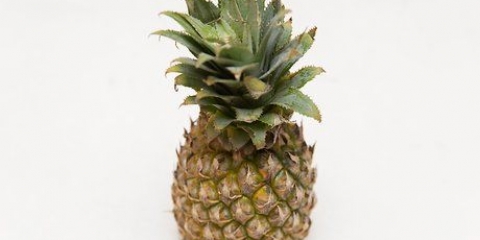 Vers ananas kopen en pasop